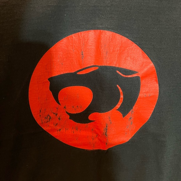 Thunder cats, Size Large, Vintage, 1999, (Used) - Picture 2 of 4